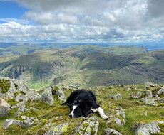 Dark Peak BG June